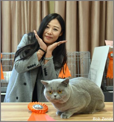 Woolencat Cocktail Rio
